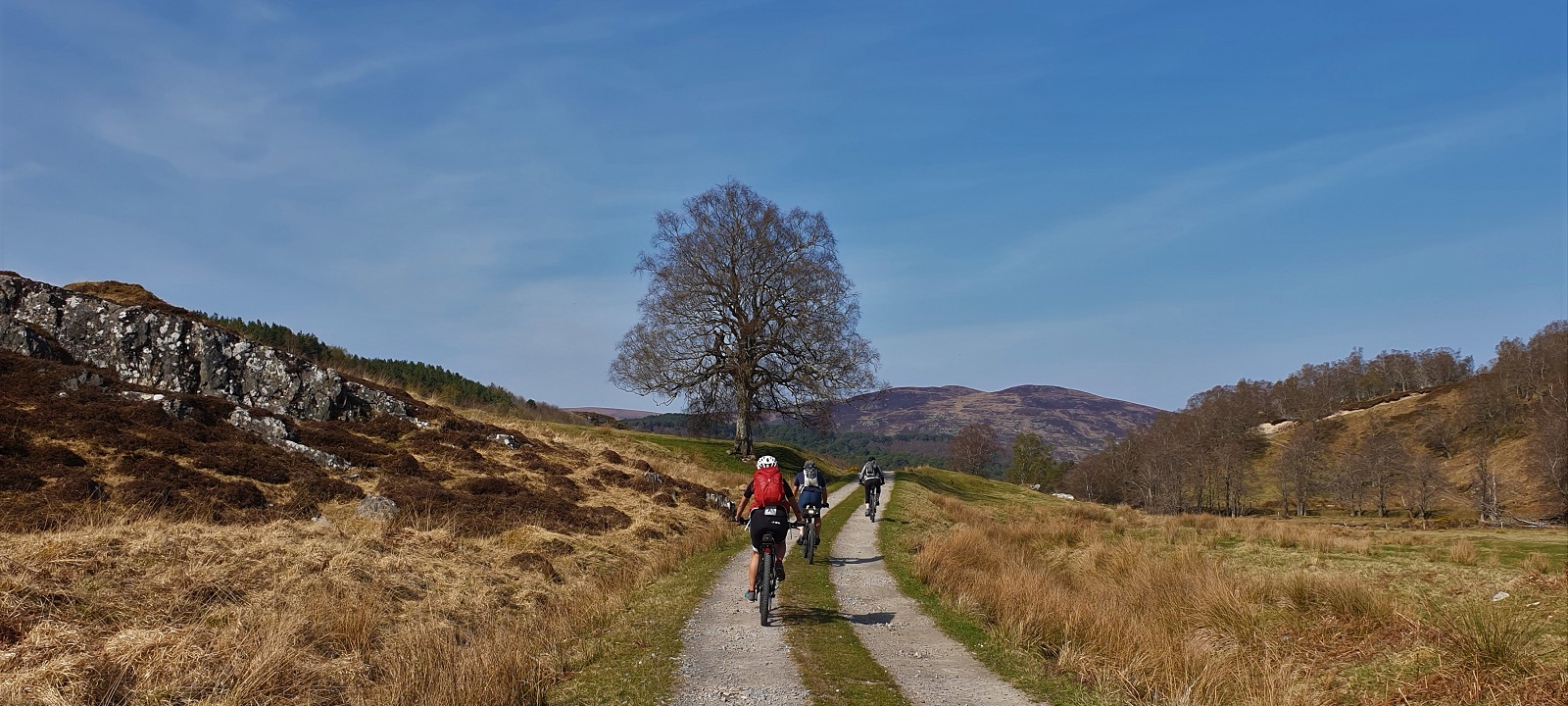  Mountain Biking Scotland